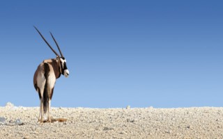 Namibia [320x200]